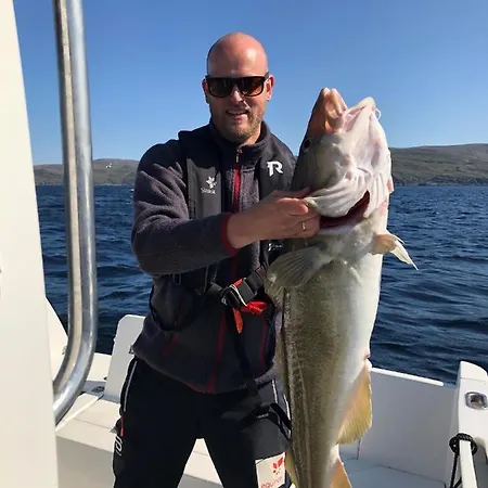 Nordmannsneset Pa Seiland Nyaraló