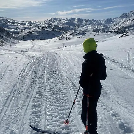 Nordmannsneset Pa Seiland Nyaraló Hammerfest